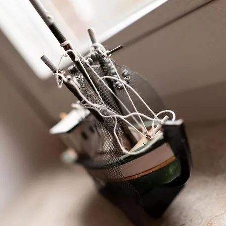 Austernfischer Semesterbostad